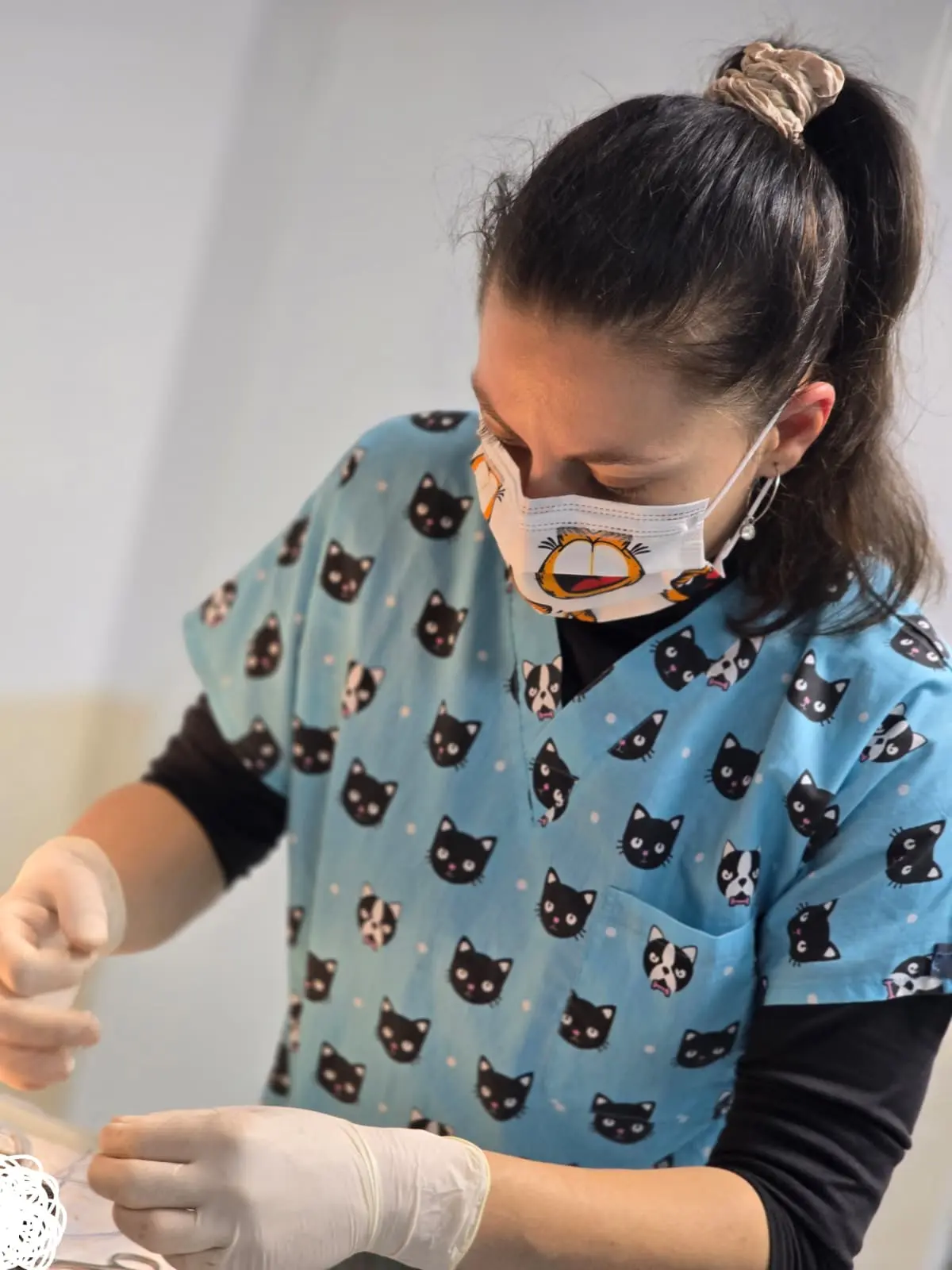 IvyCare Cabinet Veterinar IvyCare